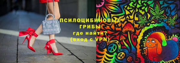 бошки Покачи